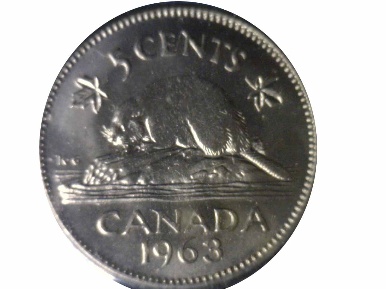 Unopened-Bag-Of-Five-Cent